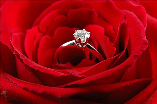 订婚戒指,红玫瑰