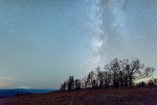 羊草山顶的星空