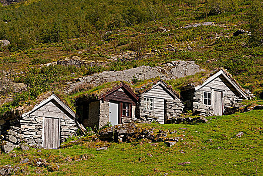 小,小屋,草,屋顶,绿色,山谷,挪威,欧洲