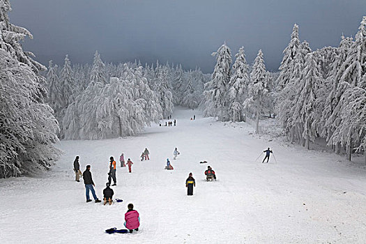 滑雪橇