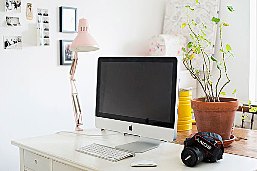电脑,灯,盆栽,白色背景,书桌