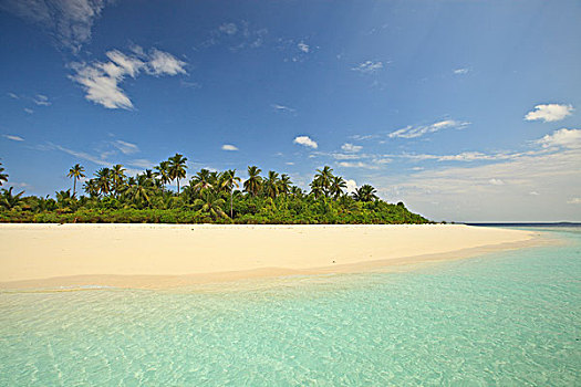 岛屿,南,环礁,南方,马尔代夫,印度洋