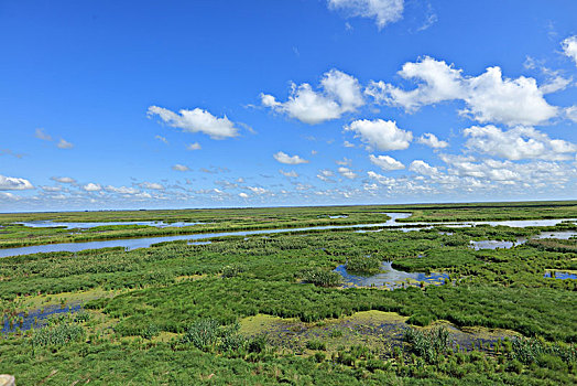 雁窝岛湿地