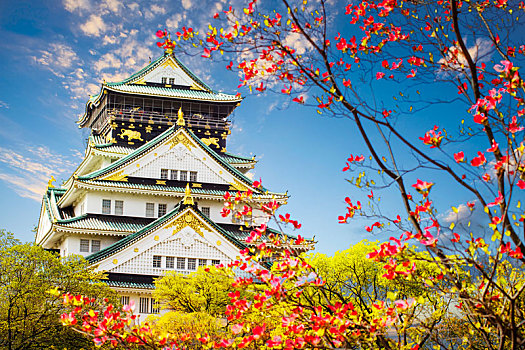 漂亮,大阪城,大阪,美好,背景,日本