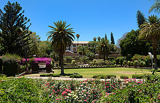 纳米比亚,温得和克,著名,议会,花园,植物,绿色,喷泉