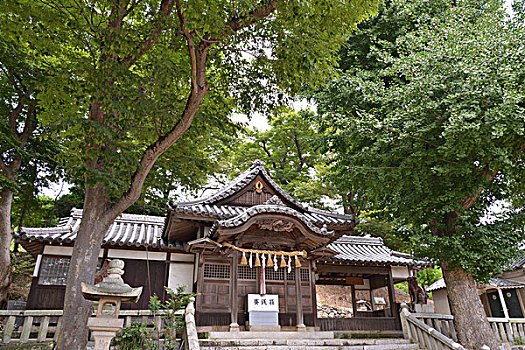 斑点,神祠,日本