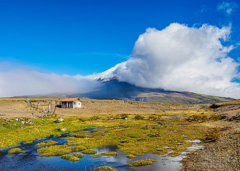 火山,隐藏,云,国家公园,省,厄瓜多尔,南美