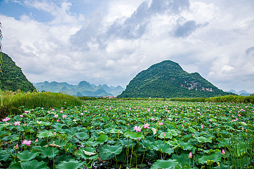 云南省文山州丘北县普者黑景区