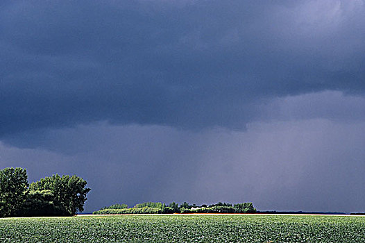 草原,风暴,上方,曼尼托巴,加拿大