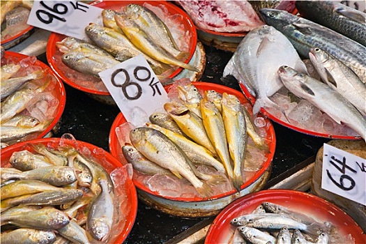 鲜鱼,市场