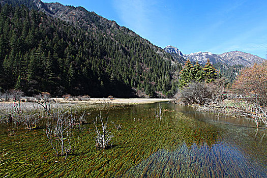 中国四川阿坝九寨沟