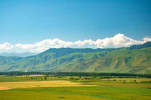 新疆那拉提草原
