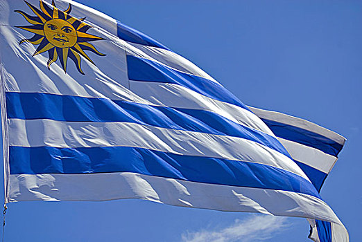 乌拉圭,旗帜,特写