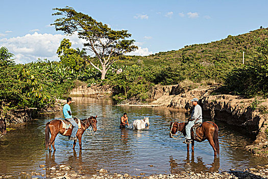 古巴,特立尼达,骑手,马,洗,河