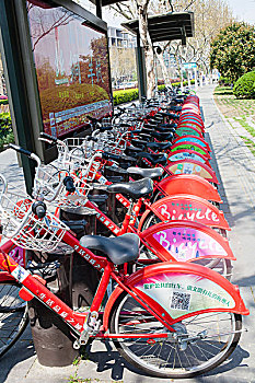 一排自行车,自行车租赁,公共自行车