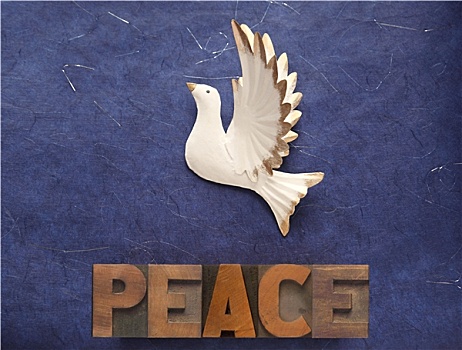 平和,鸽子