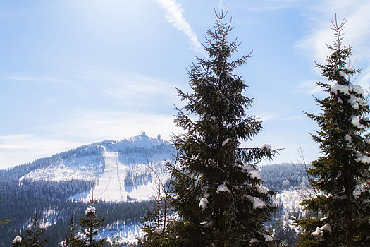 冬季风景,风景,山,巴伐利亚