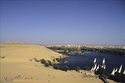 埃及,坝,河