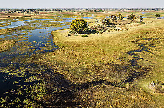 河,靠近,淡水,湿地,散开,红色,航拍,奥卡万戈三角洲,博茨瓦纳,非洲