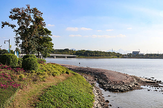 深圳市人才公园景观