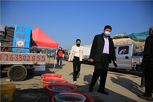 山东省日照市,数百只海鸥翔集渔码头,假日里市民买海鲜赏海景相得益彰