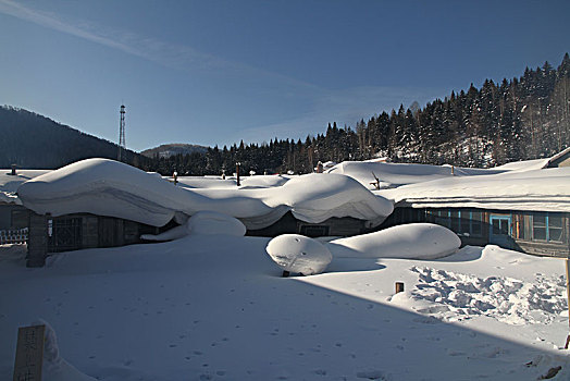 哈尔滨,雪乡,雪景,北方