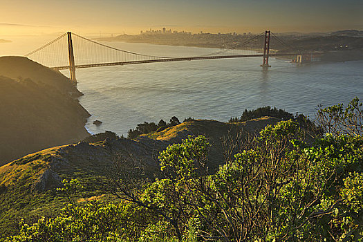 吊桥,海洋,金门大桥,旧金山湾,旧金山,加利福尼亚,美国