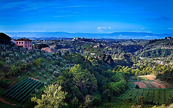 葡萄园,山,远景,赭色,意大利