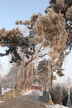 河北易县清西陵雪景