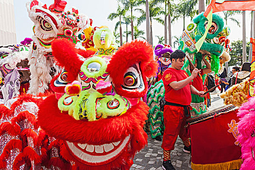 中国,香港,新年,白天,节日,游行,中国狮子,舞者