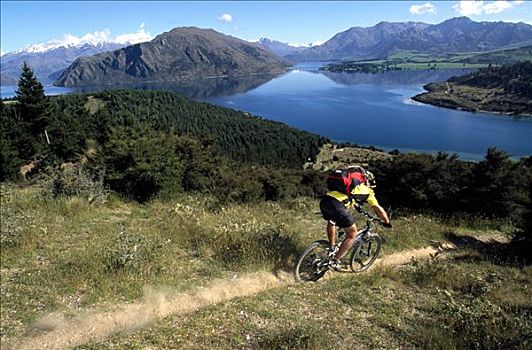 山地自行车,瓦纳卡湖,南岛,新西兰