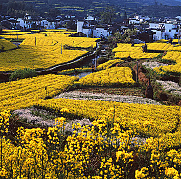 安徽徽州民居牌楼