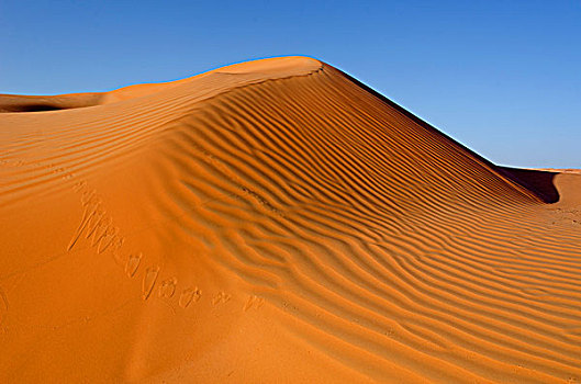 图案,沙丘,瓦希伯沙漠,沙漠,沙尔基亚区,沙,晨光,灰尘,阿曼,亚洲