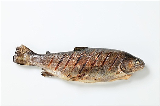 烤制食品,鲑鱼