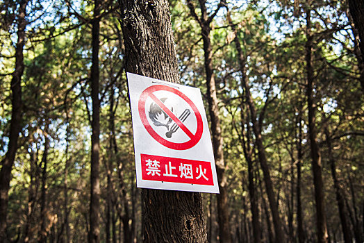 树林中的禁止烟火标识