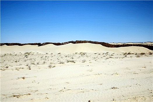 沙子,墙壁,撒哈拉沙漠