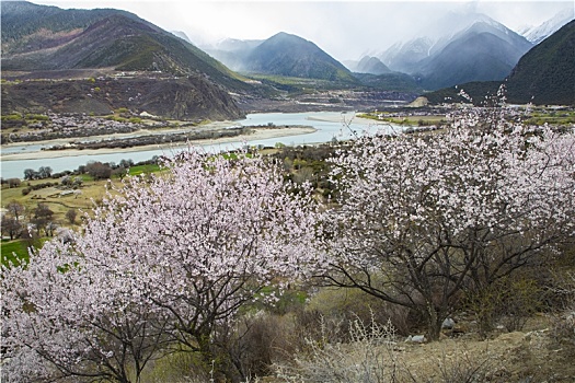 雅鲁藏布江大峡谷风光