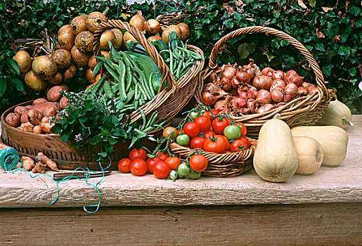 蔬菜,西红柿,灰胡桃,葱类,豆,洋葱,土豆