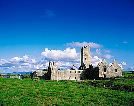 教堂,爱尔兰,15世纪,圣芳济修会