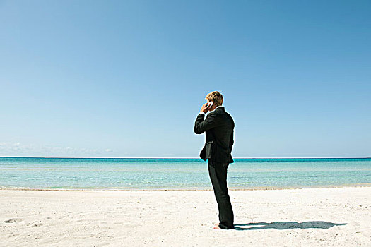 商务人士,交谈,手机,站立,海滩,后视图