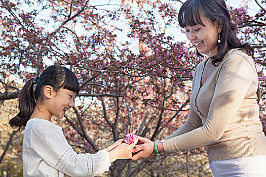 微笑,母亲,给,女儿,樱花,户外,公园,春天,北京