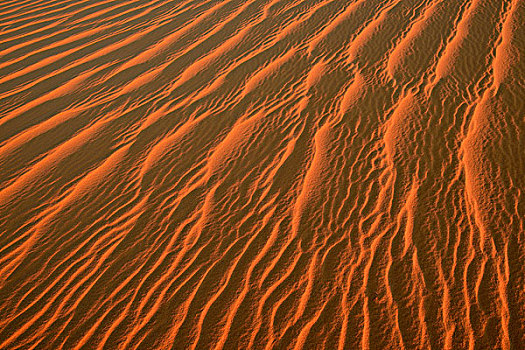 沙子,波纹,纹理,沙丘,阿尔及利亚,撒哈拉沙漠,北非,非洲