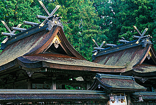 亚洲,日本,和歌山,神祠