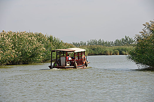 中国,宁夏回族自治区,沙湖景观