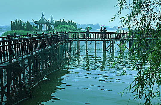 木桥,雨,柳条,古建筑