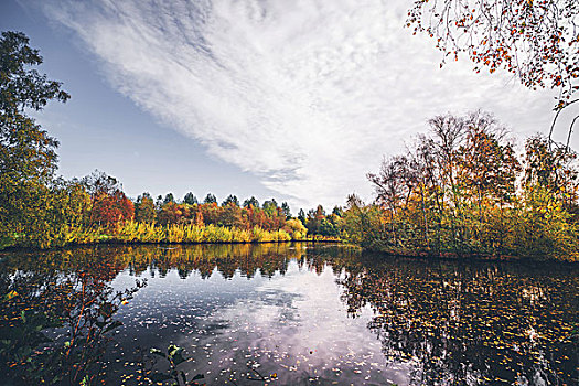 湖,秋天,秋叶,暗色,水,树,秋色