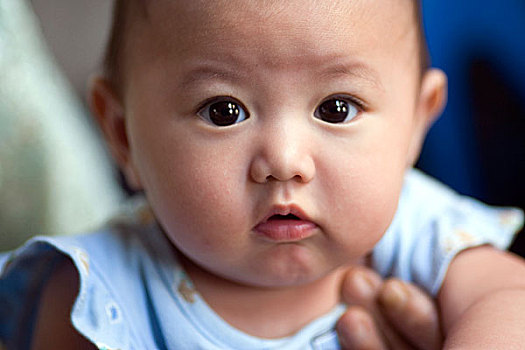 好奇,婴儿,泰国,一月,2007年