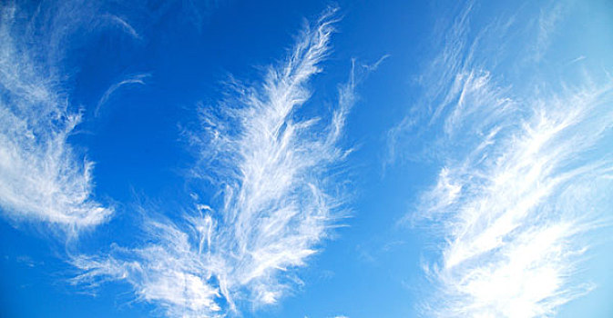 绒毛状,天空,云,留白,背景,概念
