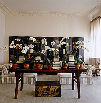 兰花,堆放,书本,桌子,客厅,大,中国,折叠屏风,背影,墙壁