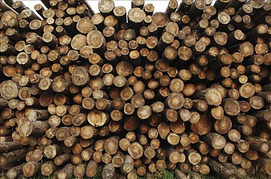 一堆,木头,原木,木柴